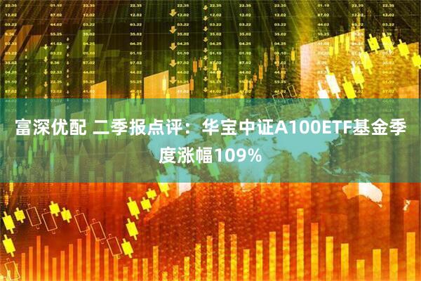 富深优配 二季报点评：华宝中证A100ETF基金季度涨幅109%